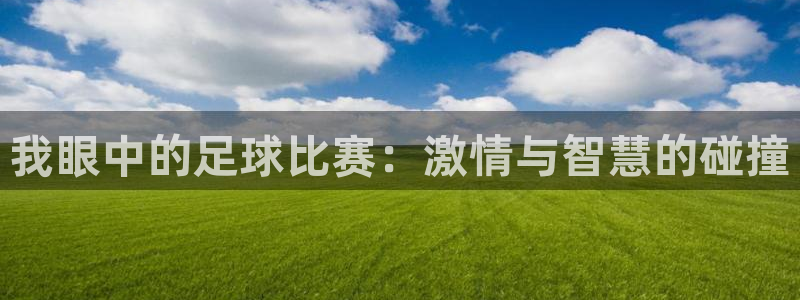 我眼中的足球比赛：激情与智慧的碰撞