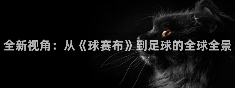  全新视角：从《球赛布》到足球的全球全景