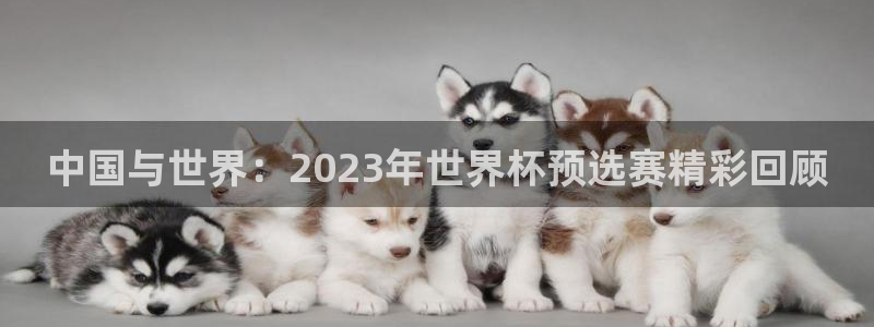  中国与世界：2023年世界杯预选赛精彩回顾