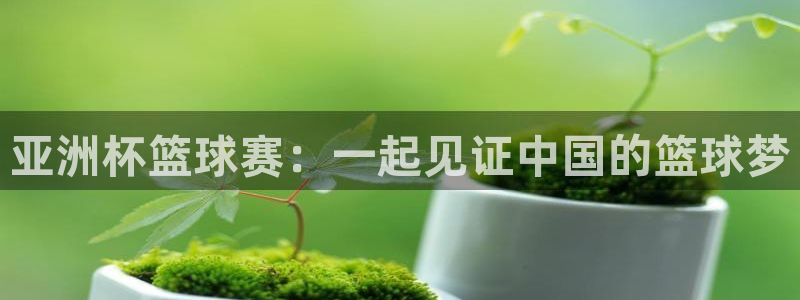 亚洲杯篮球赛：一起见证中国的篮球梦