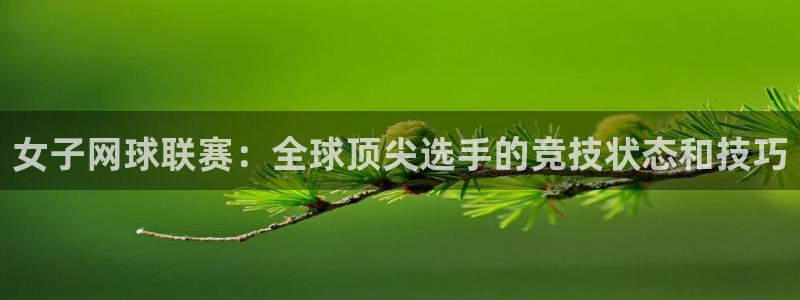 女子网球联赛：全球顶尖选手的竞技状态