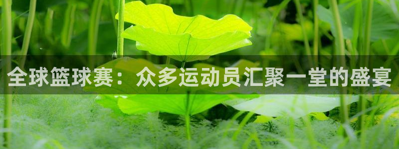 全球篮球赛：众多运动员汇聚一堂的盛宴