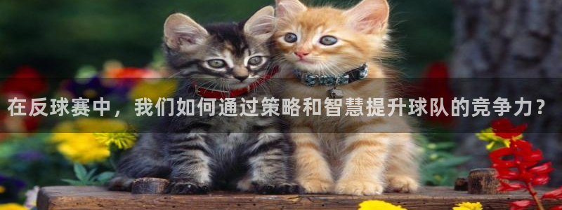 米兰体育报官网：在反球赛中，我们如何通过策略和智慧提升球队的