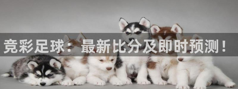 米兰体育报米兰尤文赛后评分：竞彩足球