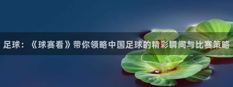 米兰体育场叫什么名字好听：足球：《球