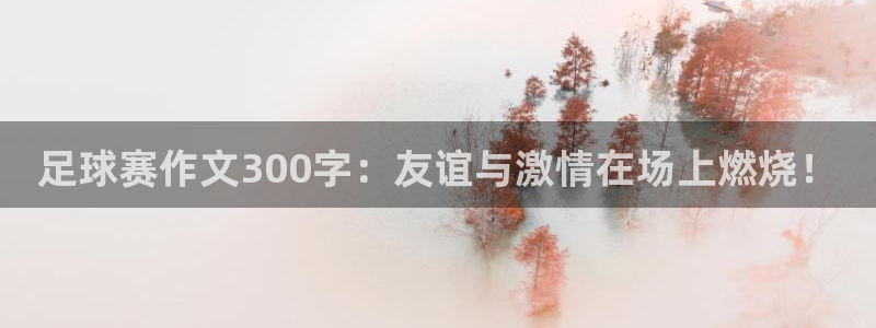 米兰体育登录：足球赛作文300字：友