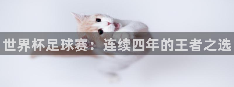 米兰体育中心在哪里：世界杯足球赛：连