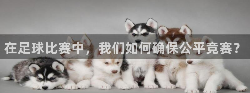 国际米兰体育场：在足球比赛中，我们如