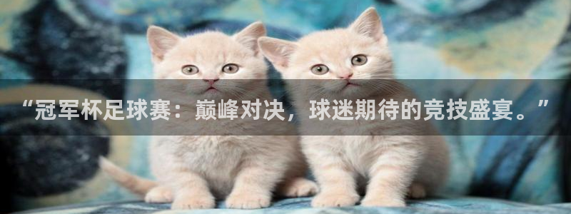米兰体育入口：“冠军杯足球赛：巅峰对