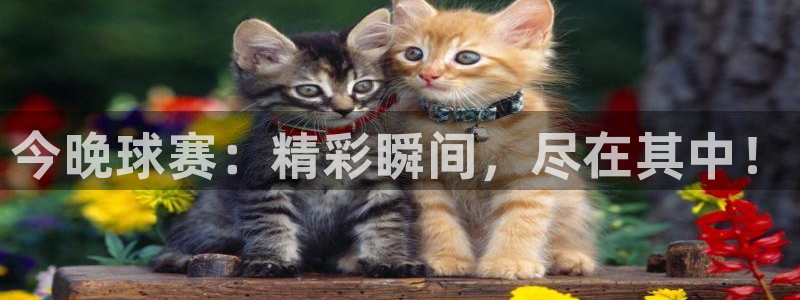 米兰体育入口：今晚球赛：精彩瞬间，尽