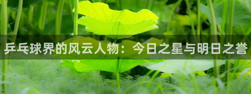 米兰体育经常封号怎么办：乒乓球界的风