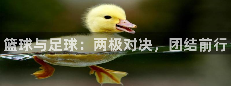  米兰体育场：篮球与足球：两极对决，团结前行
