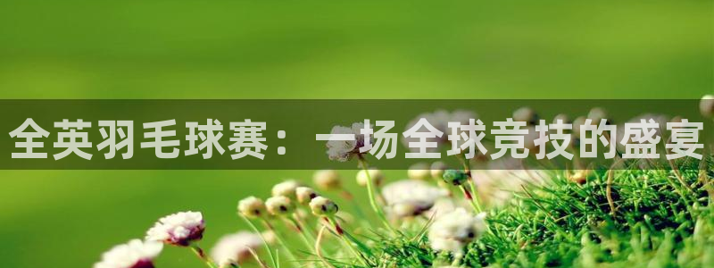  国际米兰体育场：全英羽毛球赛：一场全球竞技的盛宴